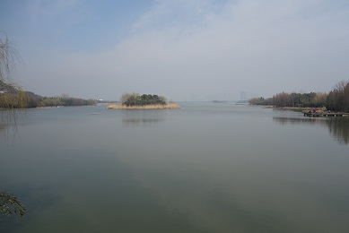 DSC00088.jpg