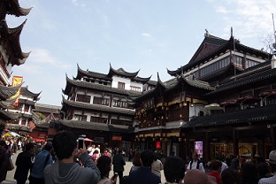 DSC00219.jpg