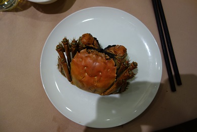 DSC00245.jpg