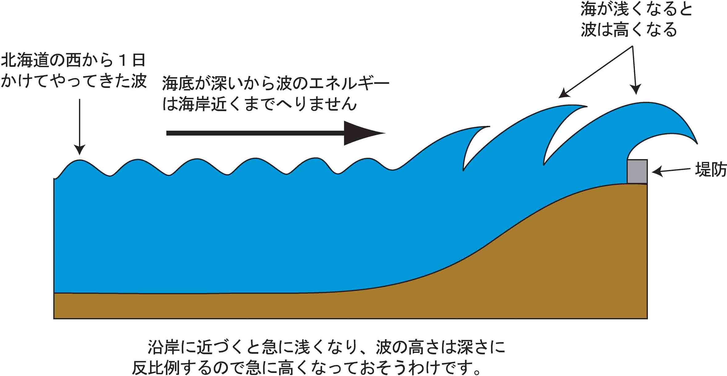 沿岸をおそいます