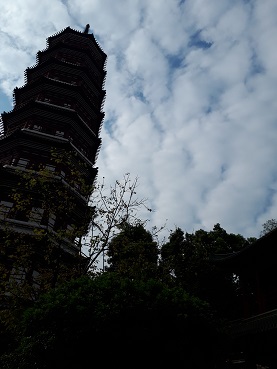 20171125_144633.jpg