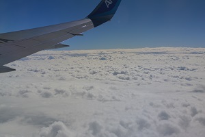 DSC_1302.jpg