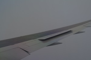DSC_1311.jpg