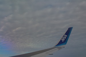 DSC_1316.jpg