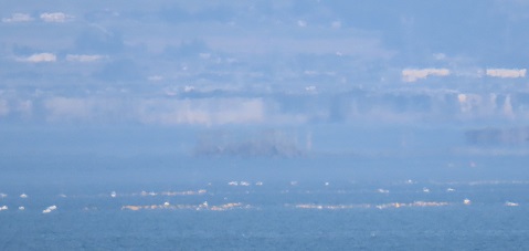 mirage 20220412tetora.jpg