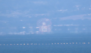mirage 20230516kanran1