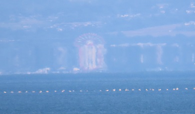 mirage 20230516kanran2