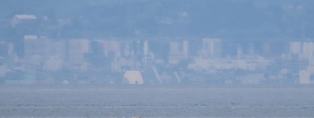 mirage 20240426maibotu1