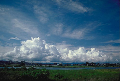 s23 s23.jpg