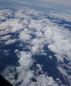 DSC00605.jpg