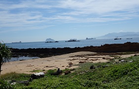 DSC00647.jpg