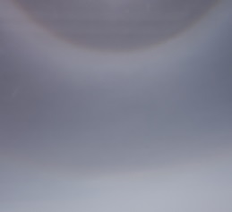 DSC01110.jpg
