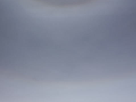 DSC01111.jpg